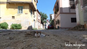 AYVALIK#2