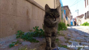AYVALIK#2