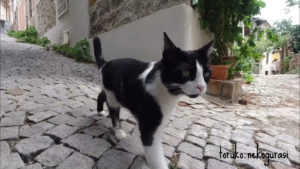 AYVALIK#2