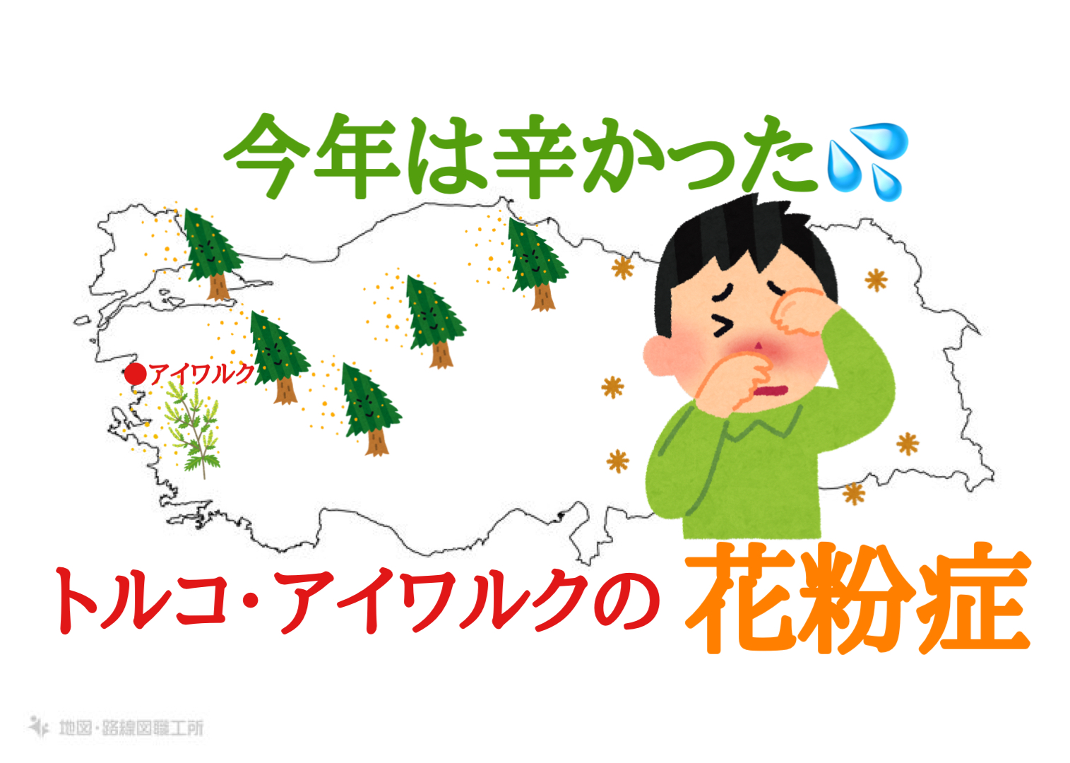 10gキゥイトムリン花粉 今年は辛かった💦トルコ・アイワルクの花粉症・・・ | トルコ猫暮らし